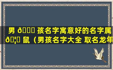 男 🕊 孩名字寓意好的名字属 🦆 鼠（男孩名字大全 取名龙年宝宝）